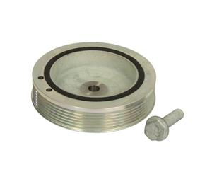 DAYCO DPV1032 SMORZ.RENAULT CLIO-KANGOO-LAGUNA