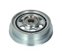 DAYCO DPV1033 Smorz.Fiat Ducato Jtd 30 (6-06)