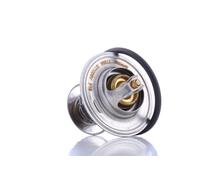 DAYCO DT1006V Termostato motore