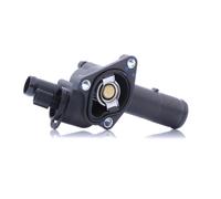 DAYCO DT1075F Termostato motore