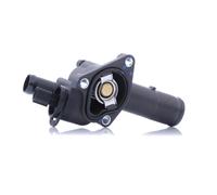 DAYCO DT1075F Termostato motore
