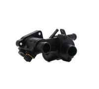 DAYCO DT1097H Termostato motore