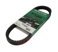 DAYCO HP2022 Cinghia di trasmissione-CVT