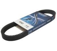 DAYCO HP3023 Cinghia di trasmissione-CVT