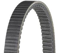 DAYCO HPX2203 Alta Performance Estremo Cinghie