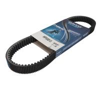 DAYCO HPX5013 Cinghia dentata