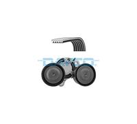 DAYCO Kit Cinghie Poly-V KPV294