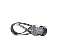 DAYCO Kit Cinghie Poly-V KPV384 per OPEL COMBO Kasten/Kombi (X12)