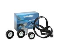 DAYCO KPV021 Kit Cinghie Poly-V