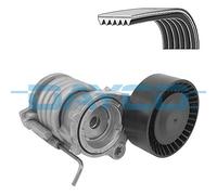 DAYCO KPV1141 Kit Cinghie Poly-V