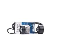 Set di cinghie Poly-V DAYCO KPV242