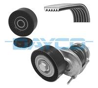 DAYCO KPV349 Kit Cinghie Poly-V per AUDI Q5, AUDI A6, AUDI A4, AUDI A5
