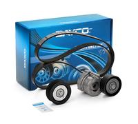 Set di cinghie Poly-V DAYCO KPV794