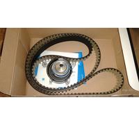 Dayco Kit distribuzione KTB482 per FIAT Daily III-IV, IVECO, MAN