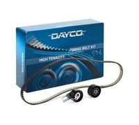 Dayco Set di cinghie di distribuzione KTB917 per Ford, Peugeot, Citroën, Opel