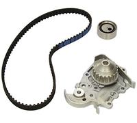 DAYCO KTBWP2591 Kit Distribuzione e Pompa Acqua