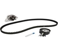 Dayco KTBWP3370 Kit P.Acqua Citroen C3 New BERLINGO