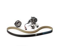 Pompa dell'acqua + kit cinghia di distribuzione DAYCO KTBWP8841