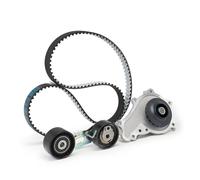 DAYCO KTBWP9170K Kit cinghia distribuzione pompa acqua per FORD FOCUS III