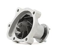 DAYCO POMPA ACQUA