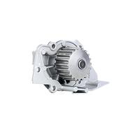 DAYCO Pompa acqua DAYCDP042