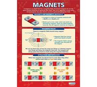 Daydream Education Magneti | Poster scientifici | Carta lucida misura 850 mm x 594 mm (A1) | Schede scientifiche per la classe | Schede educative by