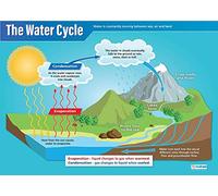 Daydream Education The Water Cycle | Poster scientifici | Carta lucida laminata, misura 850 mm x 594 mm (A1) | Grafici scientifici per l'aula | Grafici didattici