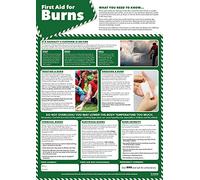 daydream Poster First Aid for Burns (Versione Inglese)