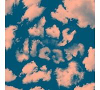 Chris Coco Daydream Utopia (Vinyl LP) 12" Album