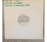 Daylight in the quiet zone / Vinyl record [Vinyl-LP]