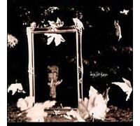 Days Like These by Robert Deeble (1999-04-13)