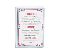 DaySpring - Biglietti di Natale Hope Good Steward - 18 biglietti natalizi in scatola con buste bianche, CSB (J6344)