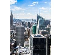 Daytime in New York Hardcover Journal: 300 pages, lined