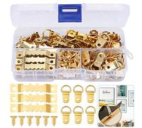 DazSpirit 235 Pezzi Ganci per Quadri con Anelli a D, Gancio a Dente di Sega e Viti, Ganci per Appendere Quadri, Kit per Appendere Quadri, Fissare Foto, Ganci per Cornici per Foto Immagini Appese