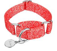 Dazzber Collari martingale per cani, collare anti-fuga anti-tiro, resistente, per cani di taglia media e grande, regolabile da 43 cm a 63 cm, rosso, nuvola di buon auspicio