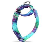 Dazzber Collari per cani Martingale, serie colorata con motivo dipinto a olio, collare anti-tiro, morbido e setoso, per cani di taglia media e grande (medio, larghezza 2,5 cm, oasi ecologica)