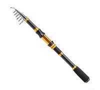 DAZZLEEX Canna da pesca telescopica in fibra di carbonio con manico in EVA, canna da pesca per spinning, mare, lago, per spigola, trota, pesce, 1,8 m-3,0 m (2,4)