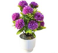 DAZZLEEX Ugello interno per idropulitrice per lavor, kit valvola per lavor e modelli, accessori per pulizia ad alta pressione, in plastica nera e grigia, ricambio Pa (viola)