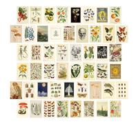 Dazzlewall 50PCS Kit di Collage Murali Vintage Immagini Estetiche per Camera da letto Soggiorno Dormitorio, Poster decorazione Murale Botanico Vintage Stampa Fronte/Retro 4x6in