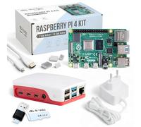 db-tronic Raspberry Pi 4 1 GB Starter Kit | Edizione da 64 GB | Alimentatore da 15 W | Alloggiamento | Cavo Micro HDMI 4K | Dissipatori | ideale per Home Assistant e la smart home
