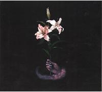 Dbuk - Songs One Through Eight