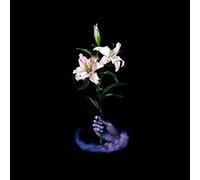 Dbuk Songs One Through Eight (Vinyl LP)