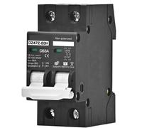 DC 100V 150V 200V 250V Circuit Breaker Bassa Tensione AC DC MCB 2P Curve C 16A 20A 25A 32A 40A 50A Protezione della batteria (2P DC510-1000V, 32A)
