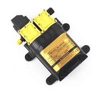 Dc 12v 125psi 9l/min Pompa dell'acqua elettrica agricola Pompa a doppia alimentazione Micro Spruzzatore d'acqua a membrana ad alta pressione Lavaggio auto,Affidabile e durevole