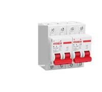 DC 12V 24V 48V 60V 110V interruttore di protezione della batteria interruttore positivo e negativo cortocircuito 2P 10A 20A 50A 100A 125A 150A(2P-2P,32A)