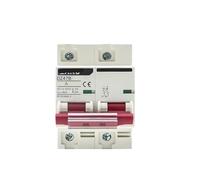 DC 12V 24V 48V interruttore batteria protezione auto DZ47 DC positivo e negativo interruttore di protezione isolatore(2P,100A)