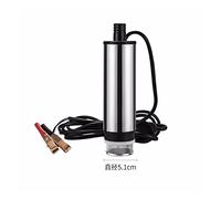 Dc 12v 24v Pompa elettrica for trasferimento carburante 30l / min Pompa olio Pompa sommergibile Diesel Diametro 51mm Acciaio inossidabile(24v)