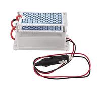 DC 12V Purificatori D'aria, Ozonizzatore Piastre di Ceramica Dell'Ozono Della Macchina Dell'Ozono dell'Automobile del Purificatore Generatore 10g / H