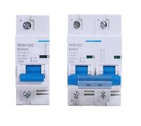 DC 2p DC Circuit Breaker 12-125V 1P Miniatura Protezione Automatica Veicolo Elettrico 80A/100A/125A/200A/250A Protezione Della Batteria(2P,250A)