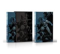 DC ABSOLUTE: BATMAN HUSH